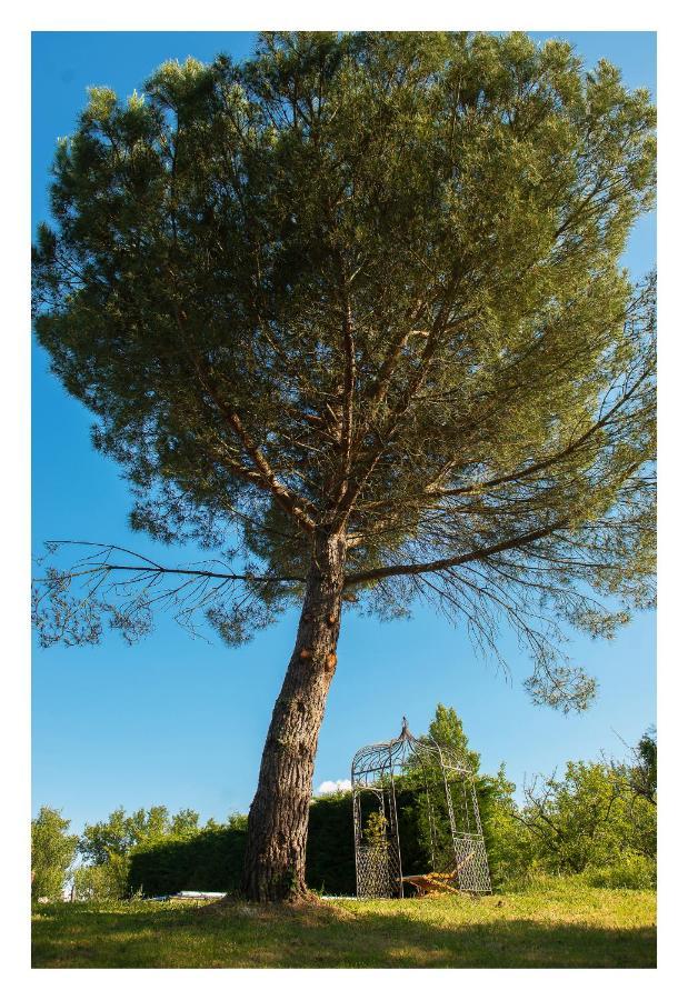 Chambre Soignee Et Accueillante A La Campagne - Ch Bleue L'Honor-de-Cos Exterior foto